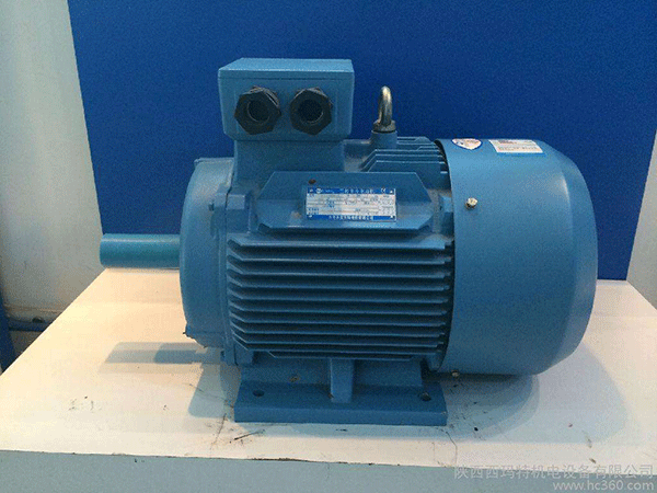 高效節能電機是西安泰富西瑪未來商業發展的方向。