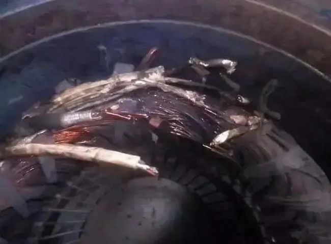 帶熱繼電器保護的電機頻繁燒毀的原因是什么？